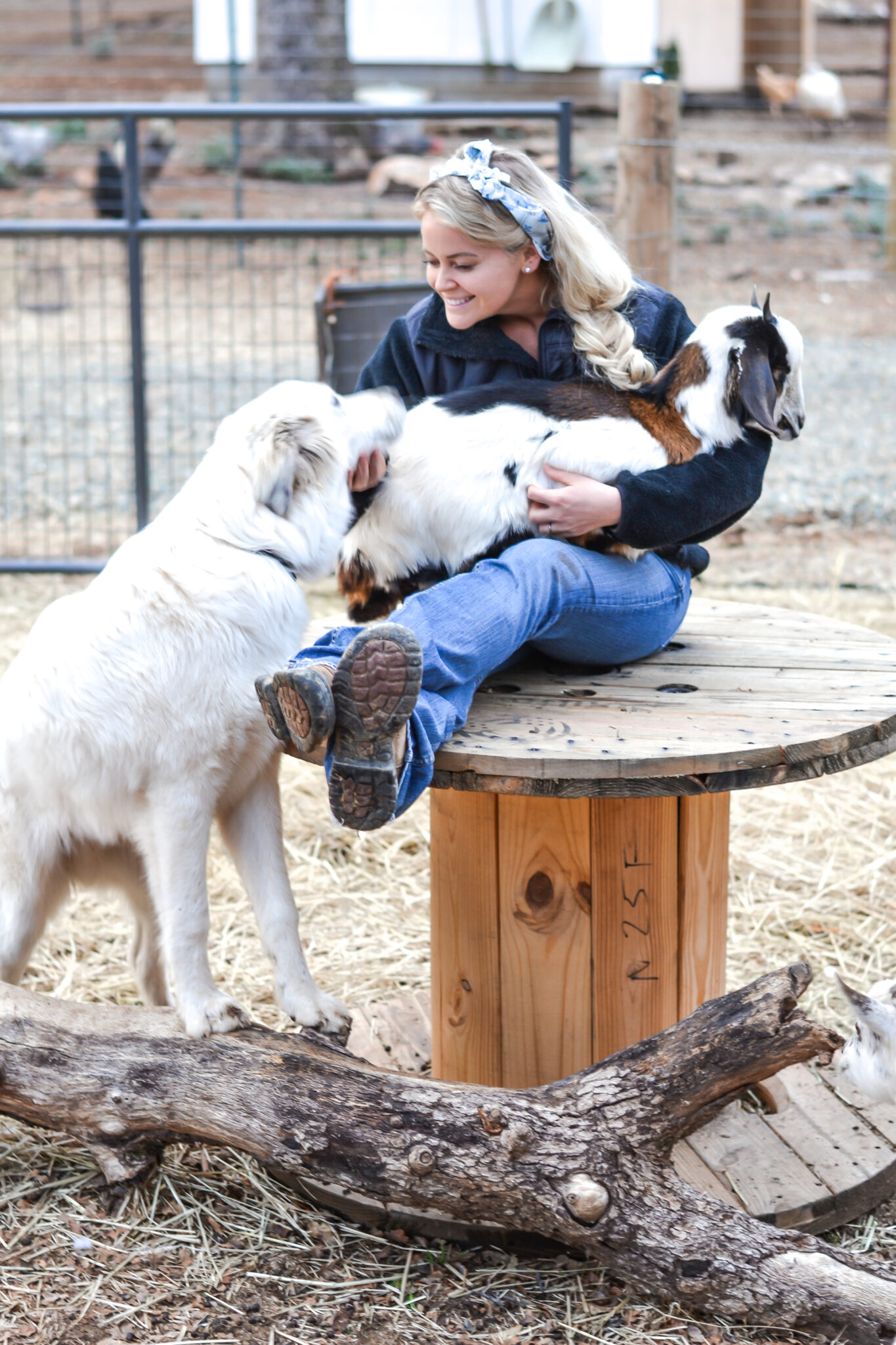 Keeping Your Animals Happy while on Vacation - Thermaland Oaks