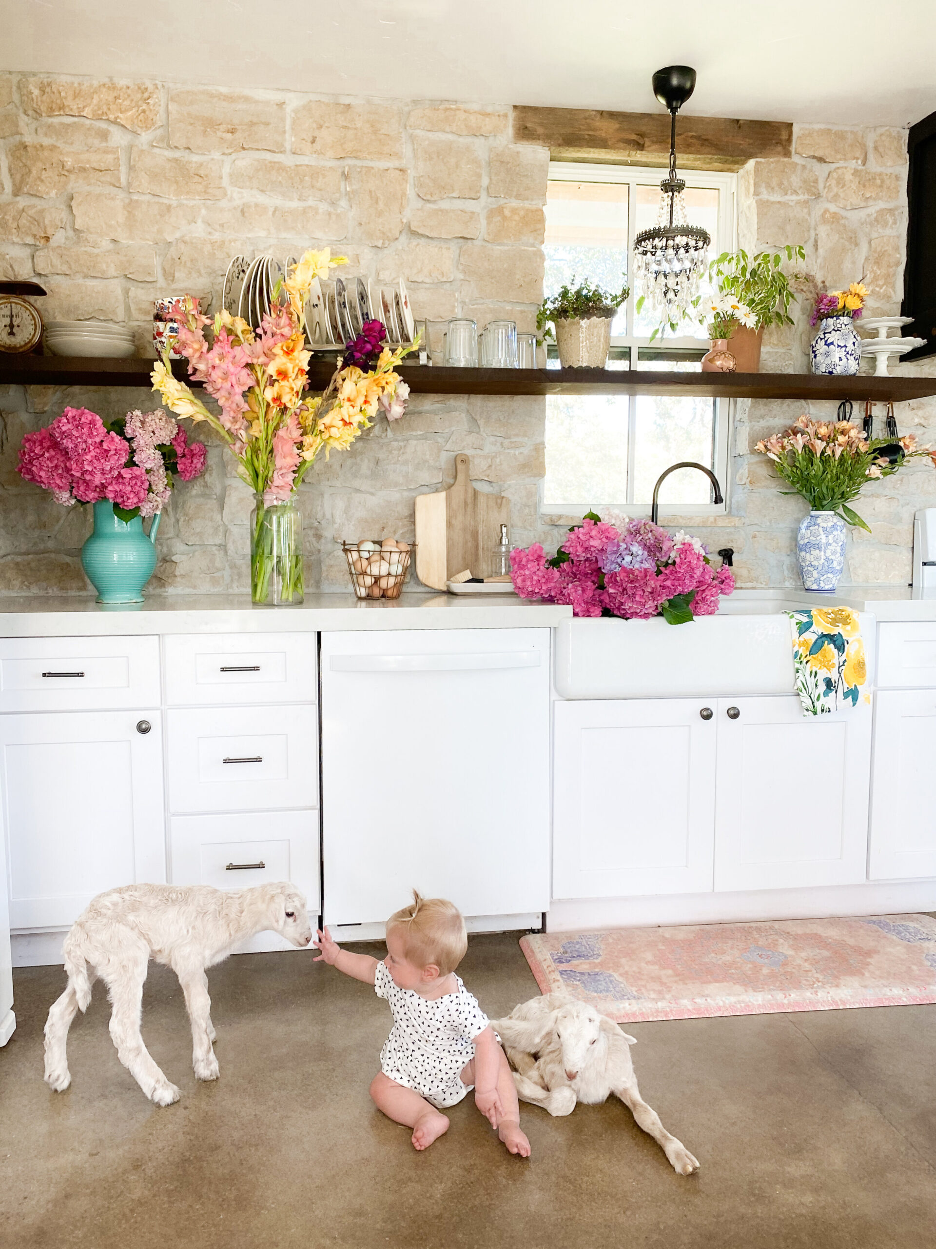 Bottle Baby Lamb Care Thermaland Oaks