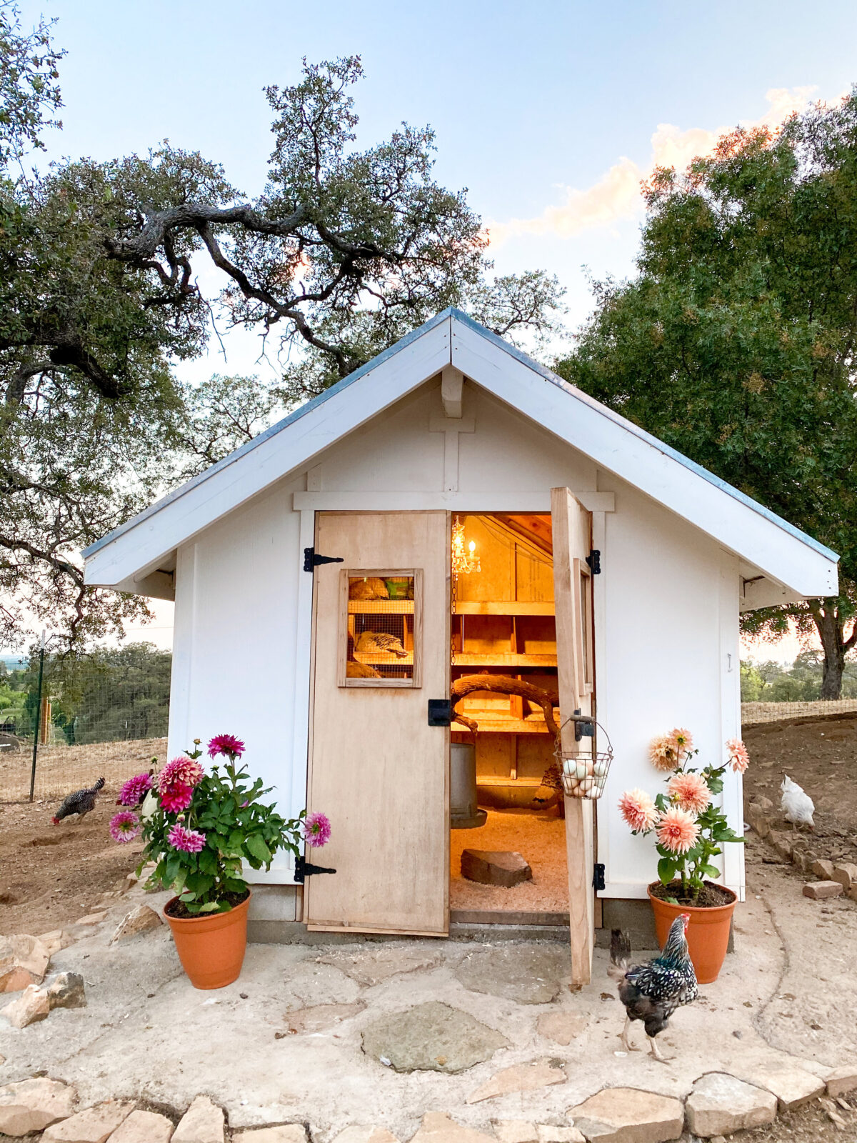 Chicken Coop Essentials Thermaland Oaks