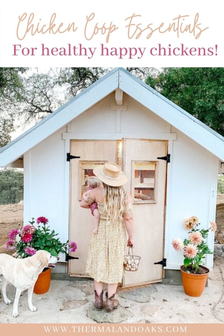 Chicken Coop Essentials Thermaland Oaks
