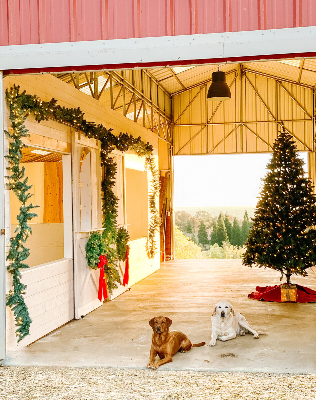 How to Decorate your Barn for Christmas - Thermaland Oaks