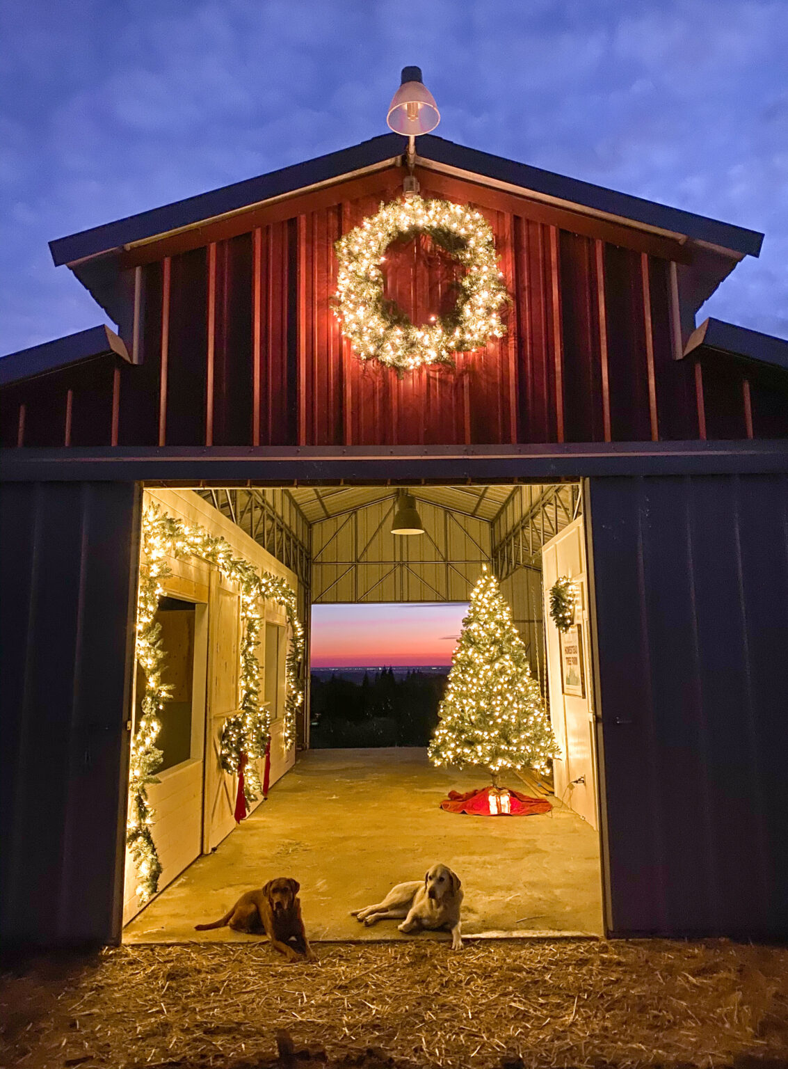 How To Decorate Your Barn For Christmas Thermaland Oaks   Barndecorchristmasbarnbarnchristmasfarmhousechristmaschristmasfarmfarmdecorbarnredbarndecorateabarnhomesteadinghomesteadingchristmasredbarndecorhorsestallchristmashorse 2 1133x1536 