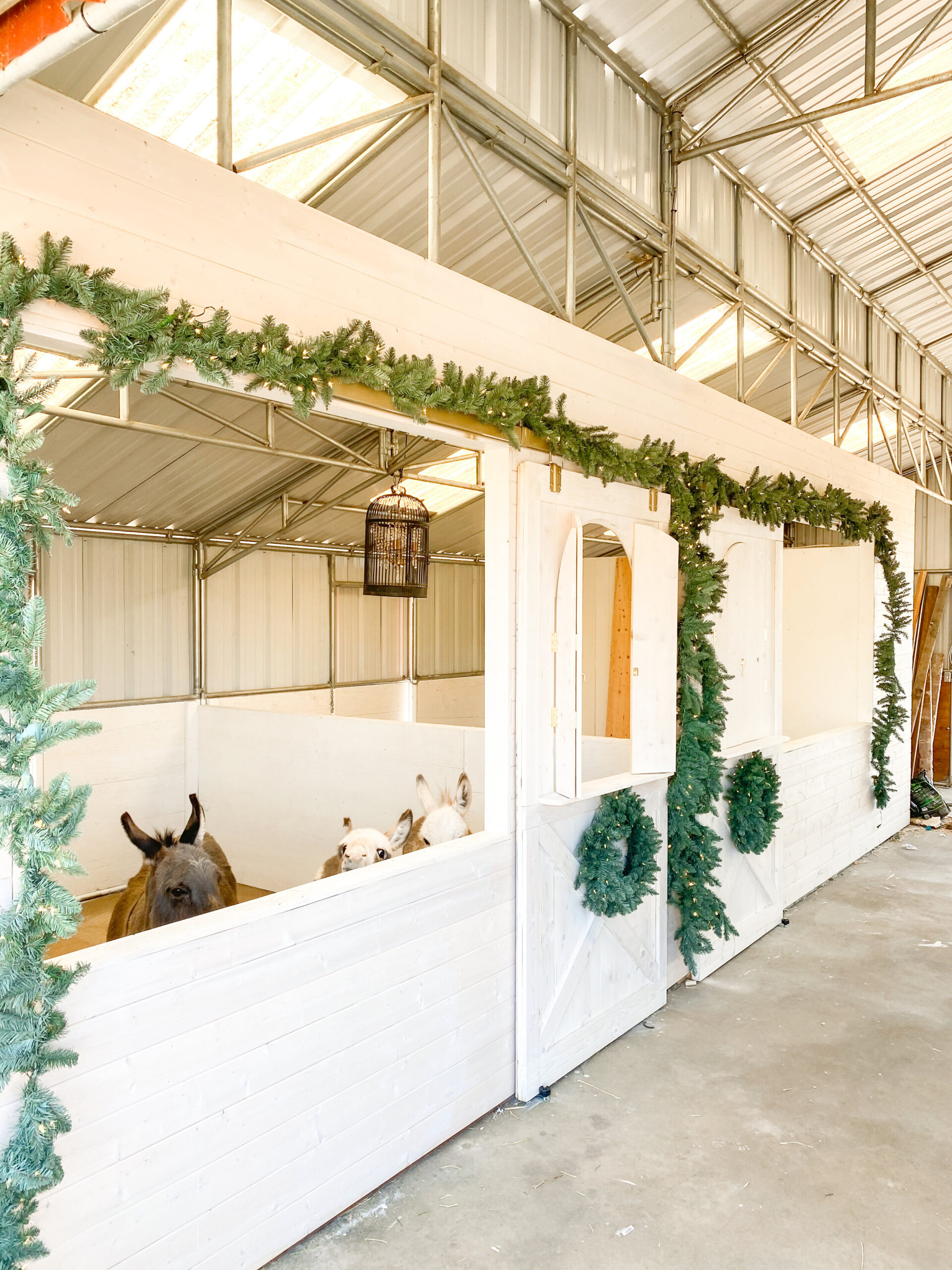 How to Decorate your Barn for Christmas - Thermaland Oaks