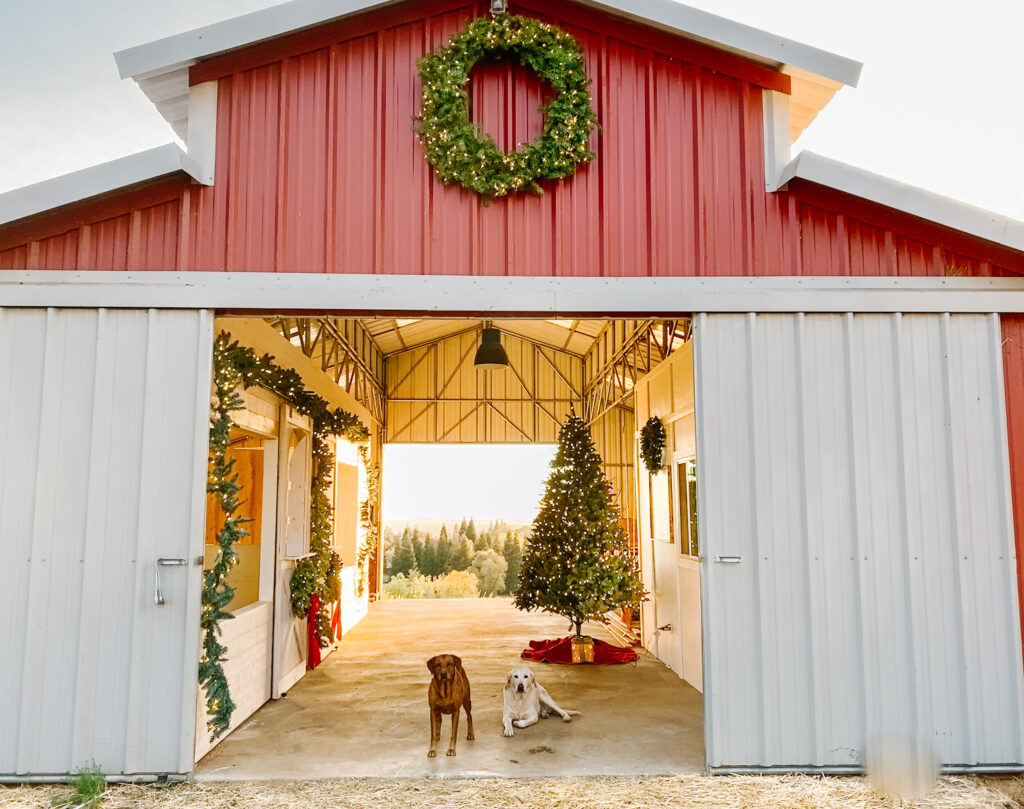 How to Decorate your Barn for Christmas - Thermaland Oaks