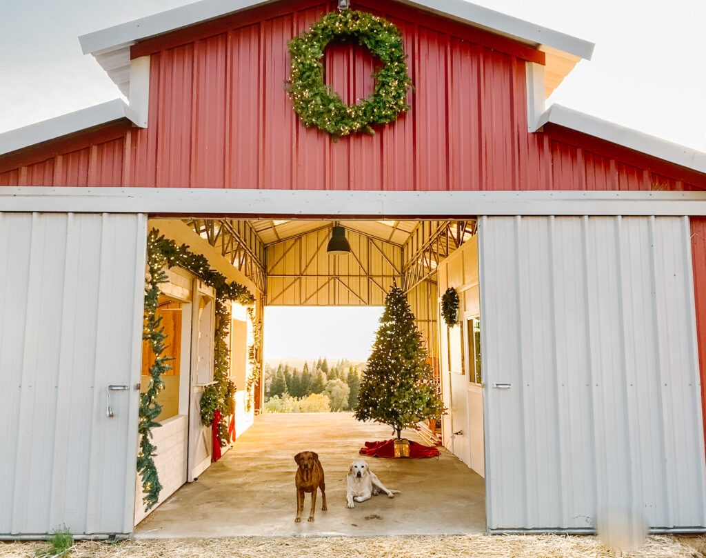 How To Decorate Your Barn For Christmas Thermaland Oaks