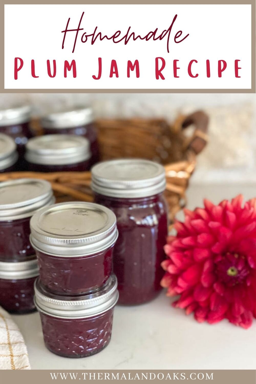 How To Make Homemade Plum Jam - Thermaland Oaks