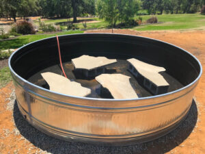 How to Make a Lily Pond Using a Stock Tank - Thermaland Oaks