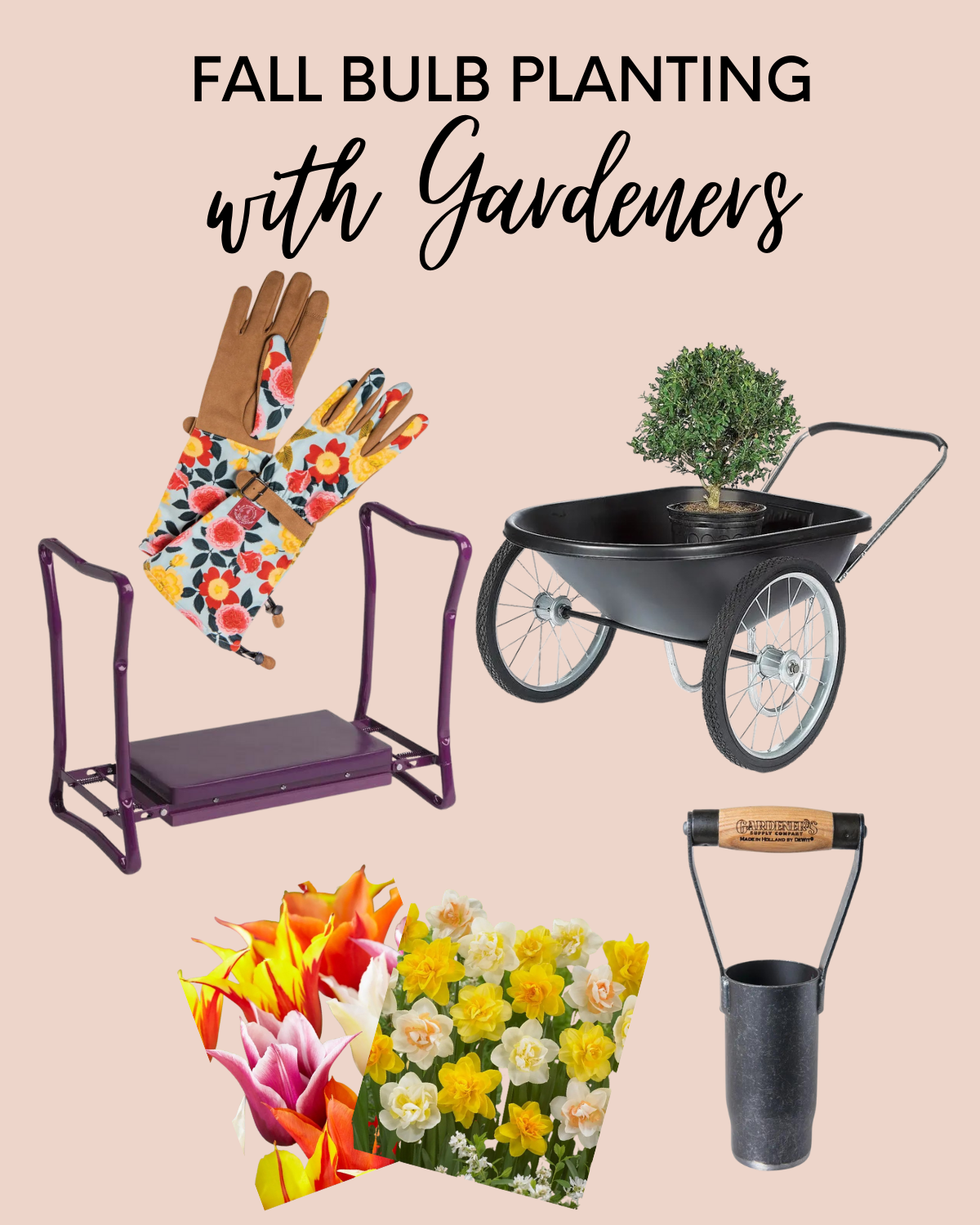 Fall Bulb Planting with Gardener's Supply Company Thermaland Oaks