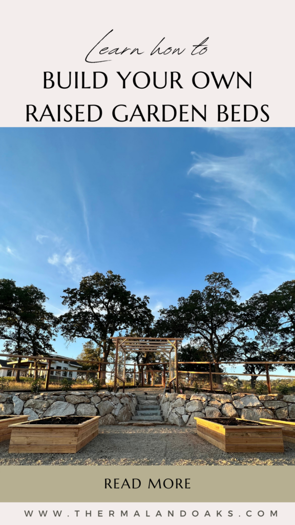 raised garden beds