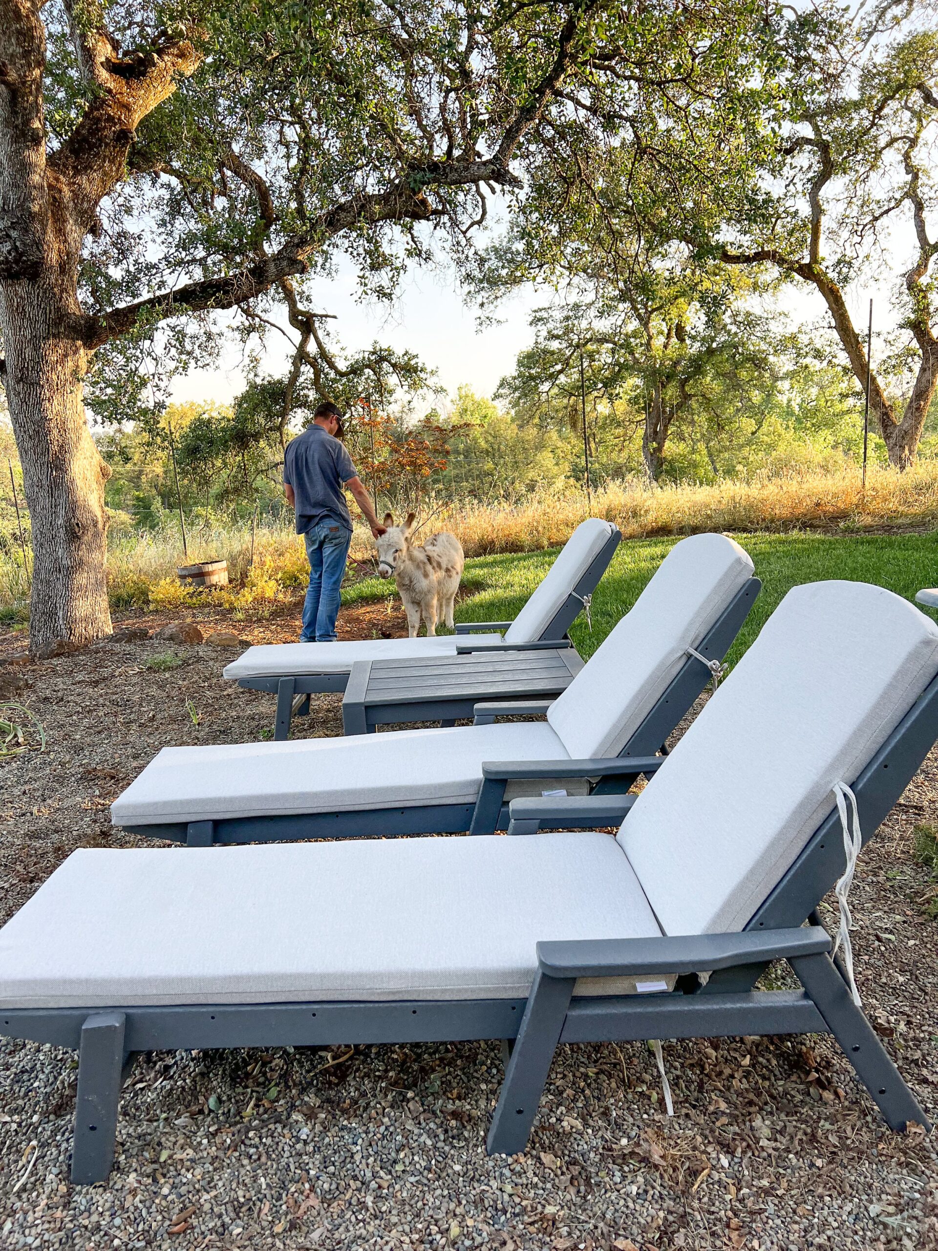 POLYWOOD Outdoor Furniture Thermaland Oaks
