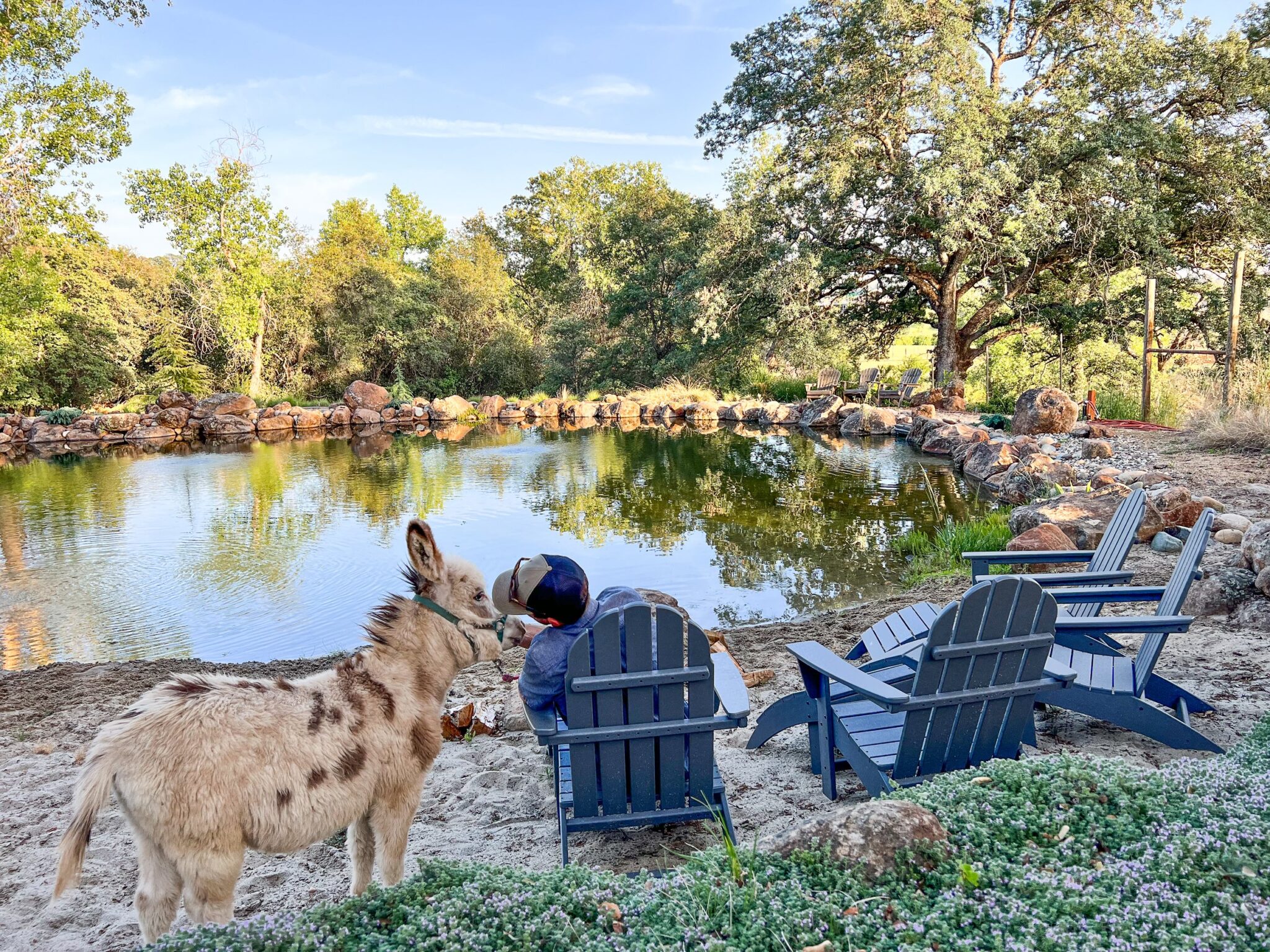 POLYWOOD Outdoor Furniture Thermaland Oaks