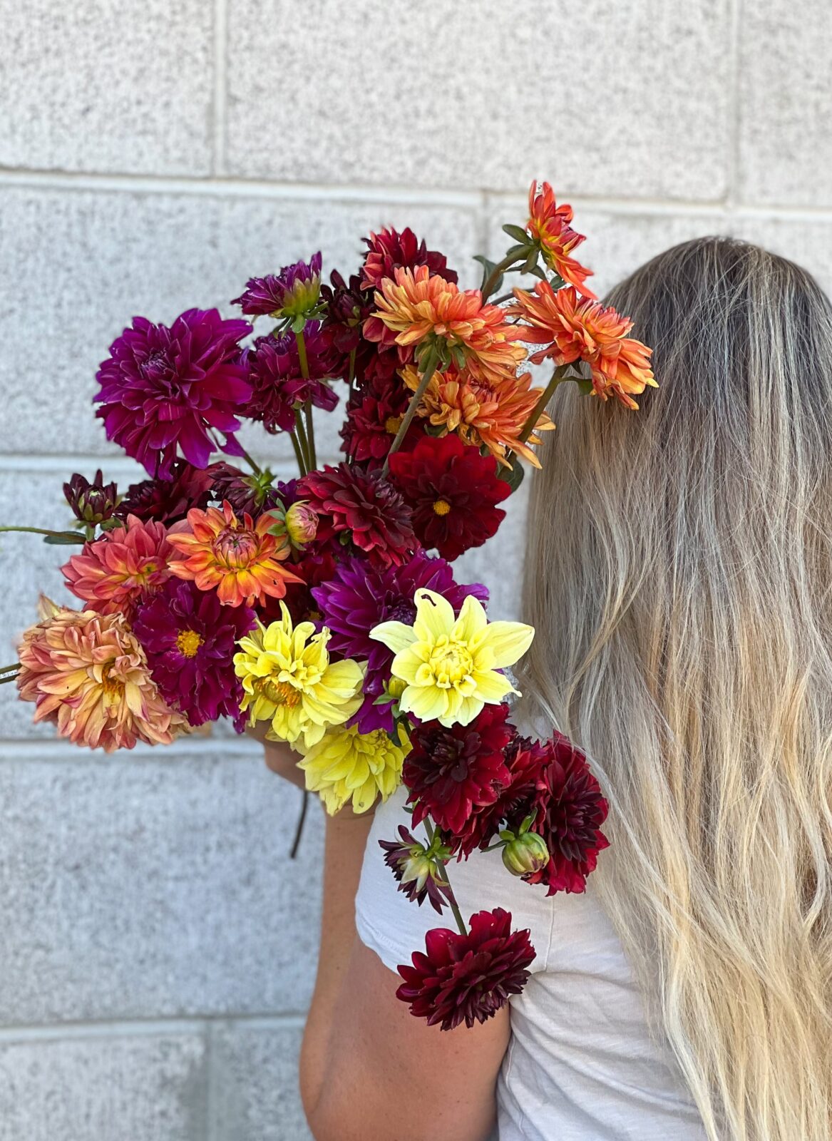 popular-cut-flowers-thermaland-oaks