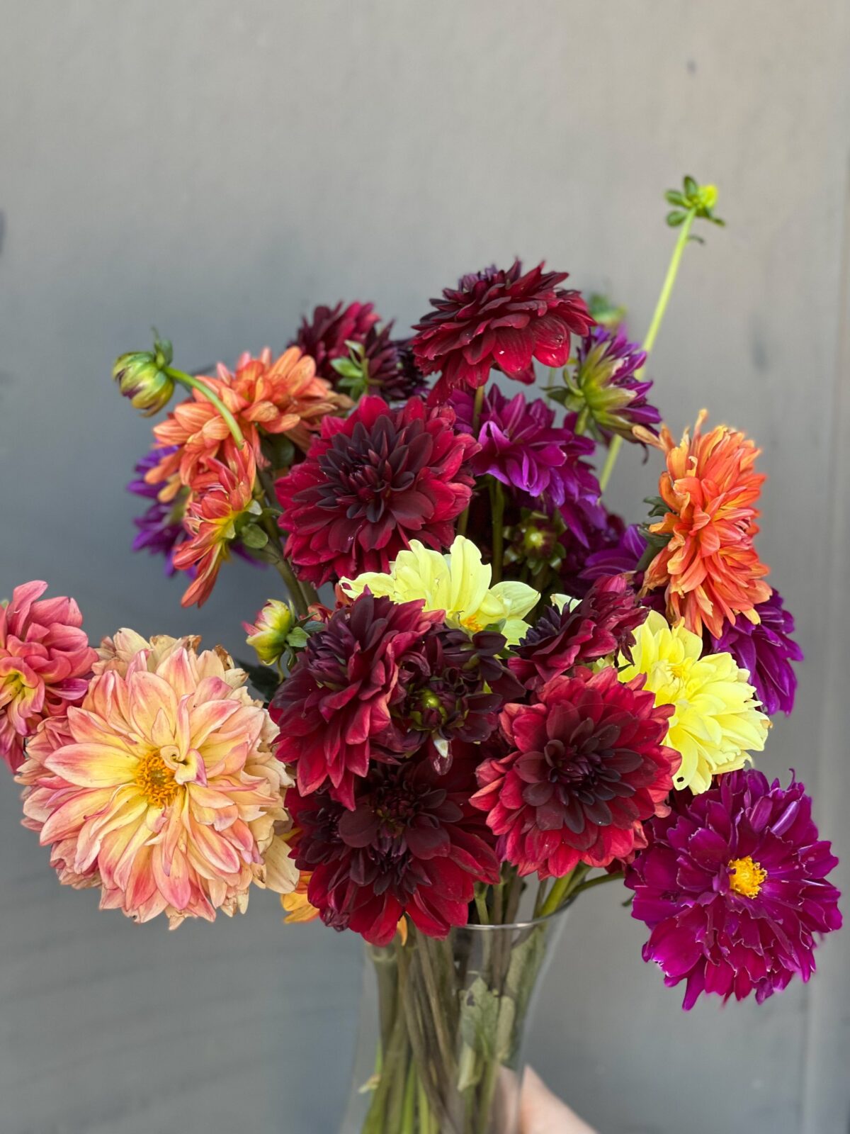 Popular Cut Flowers | Thermaland Oaks