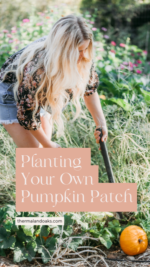 pumpkin patch