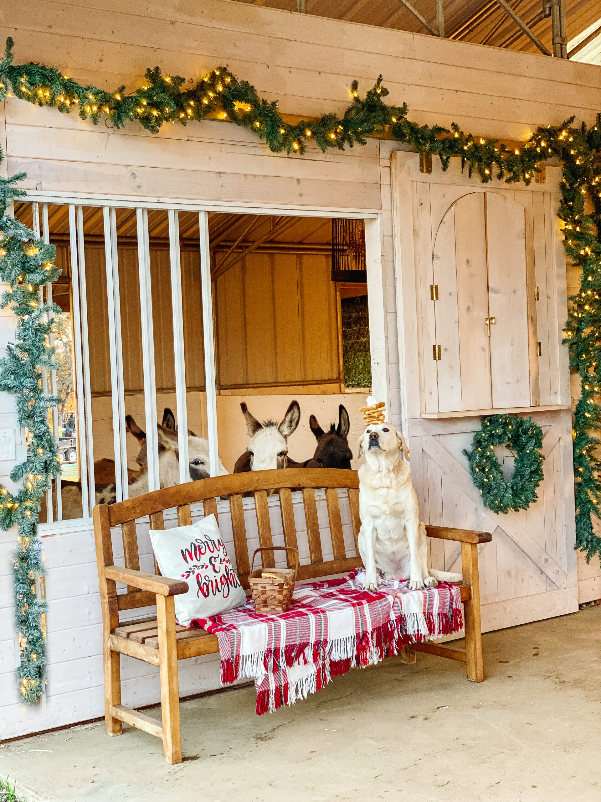 Christmas Decor on the Homestead | Thermaland Oaks