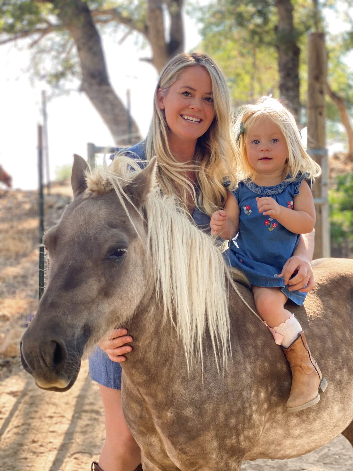 Mini Horses on the Homestead Thermaland Oaks
